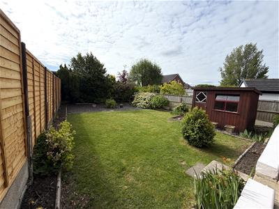 Picture 19
